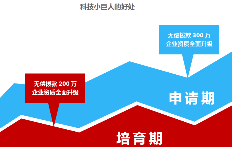 科技小巨人奖励