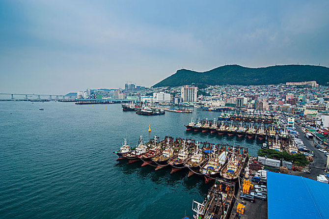 韩国外观专利申请流程及费用？