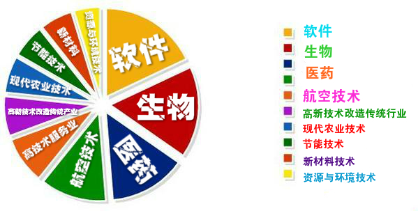 国家高新技术企业领域